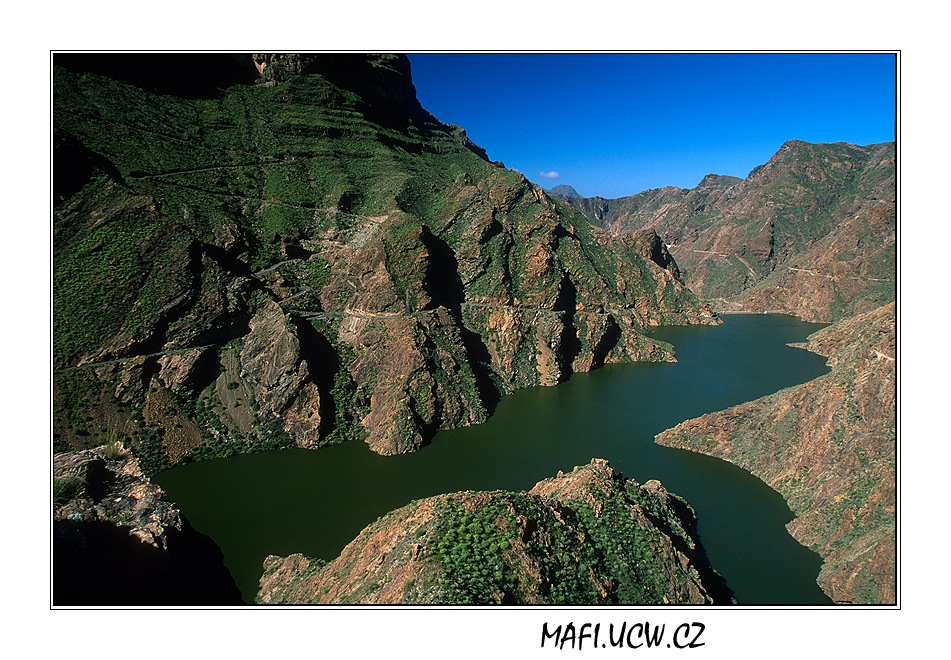 canaria06_02_04 .jpg